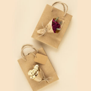 Amnotplastic-eco-friednly-karft-paper-bags-for-gifting