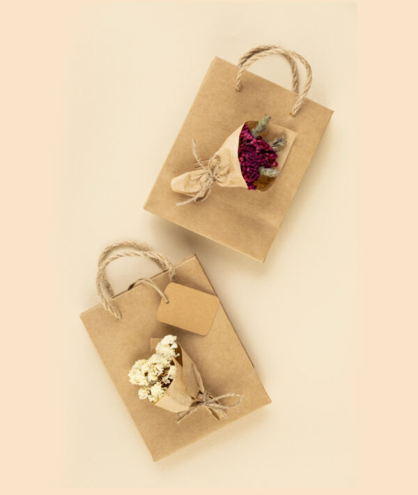 Amnotplastic-eco-friednly-karft-paper-bags-for-gifting