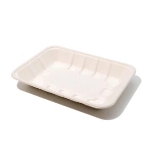 ATTACHMENT DETAILS Amnotplastic-eco-friendly-2D-bagasse-meal-tray