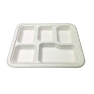 Amnotplastic-eco-friendly-5CP-bagasse-meal-tray