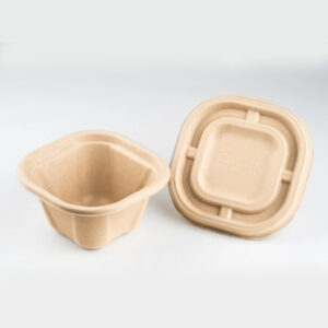 Amnotplastic-eco-friendly-bagasse-containers