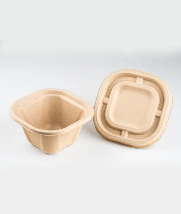 Amnotplastic-eco-friendly-bagasse-containers