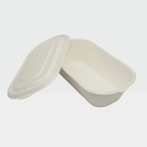 Amnotplastic-eco-friendly-bagasse-food-takeaway-container