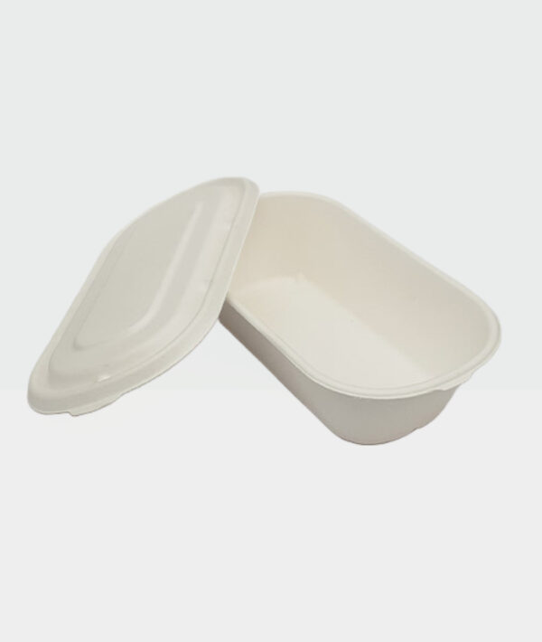 Amnotplastic-eco-friendly-bagasse-food-takeaway-container