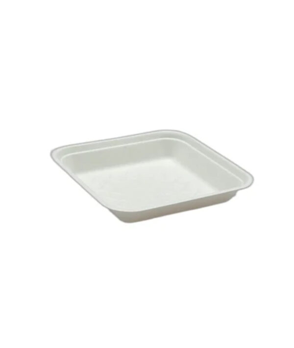 Amnotplastic-eco-friendly-bagasse-meal-tray
