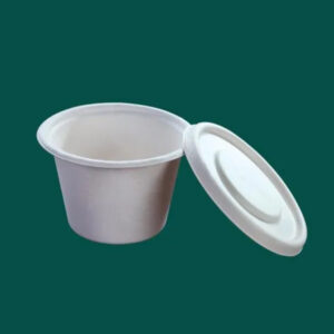 Amnotplastic-eco-friendly-bagasse-round-containers