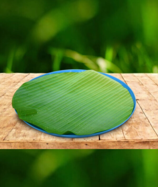 Amnotplastic-eco-friendly-banana-leaf