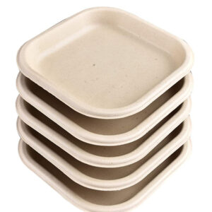 Amnotplastic-eco-friendly-brown-bagasse-plate