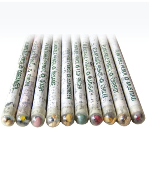 Amnotplastic-eco-friendly-recycle-newspaper-plantable-seed-pencil