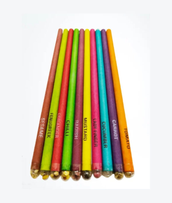 Amnotplastic-eco-friendly-seed-pencil