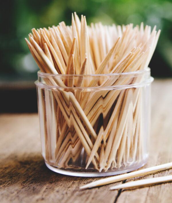 Amnotplastic-eco-friendly-toothpick