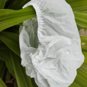 amnotplastic-compostable-bioplastic-headcap
