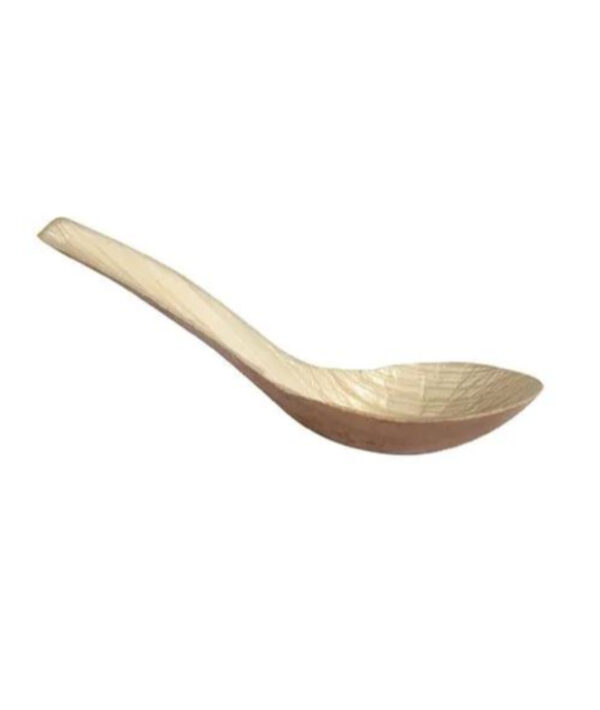 Amnotplastic-eco-friendly-areca-soup-spoon